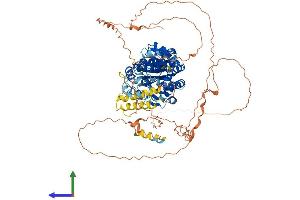 AlphaFold protein structure predicition of Mouse Recombinant Ddx20 Protein, UniprotID Q9JJY4