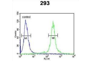 Flow Cytometry (FACS) image for anti-Transcription Elongation Regulator 1-Like (TCERG1L) antibody (ABIN3003948) (TCERG1L antibody)