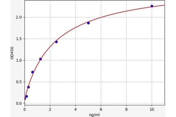 Unc5c ELISA Kit