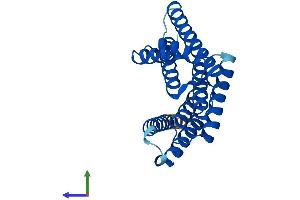 AlphaFold protein structure predicition of Human Recombinant YWHAQ Protein, UniprotID P27348 (14-3-3 theta Protein (YWHAQ) (AA 1-245) (His tag))