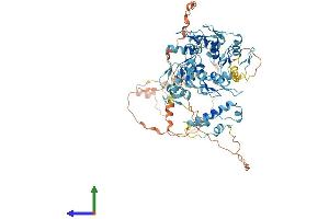 AlphaFold protein structure predicition of Human Recombinant ZNF7 Protein, UniprotID P17097