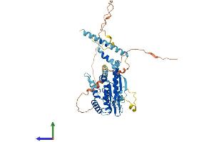 AlphaFold protein structure predicition of Human Recombinant SEPTIN4 Protein, UniprotID O43236 (Septin 4 Protein (SEPT4) (AA 1-478) (His tag))