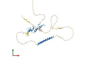 Protein Structure (PS) image for Tumor Necrosis Factor Receptor Superfamily, Member 13B (TNFRSF13B) (AA 1-293) protein (His tag) (ABIN7544550)