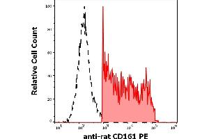 Separation of rat CD28 positive splenocytes (red-filled) from CD28 negative splenocytes (black-dashed) in flow cytometry analysis (surface staining) of rat splenocyte suspension stained using anti-rat CD161 (10/78) PE antibody (concentration in sample 1 μg/mL). (CD161 antibody  (PE))