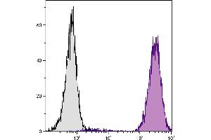 Human peripheral blood granulocytes were stained with Mouse Anti-Human CD15-PE. (CD15 antibody  (FITC))