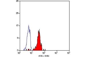 Staining of human peripheral blood monocytes with MOUSE ANTI HUMAN CD33:FITC (CD33 antibody  (FITC))