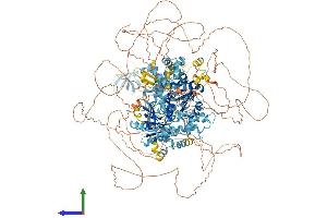 AlphaFold protein structure predicition of Mouse Recombinant Ercc6l2 Protein, UniprotID Q9JIM3 (ERCC6L2 Protein (AA 1-1537) (His tag))