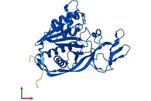 AlphaFold protein structure predicition of Human Recombinant ASPA Protein, UniprotID P45381 (ASPA Protein (AA 1-313) (His tag))