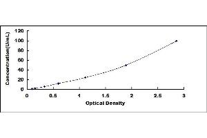 Typical standard curve (MUC16 ELISA Kit)