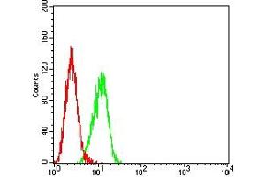 Flow cytometric analysis of HL7702 cells using MUC2 mouse mAb (green) and negative control (red). (MUC2 antibody  (AA 4373-4557))