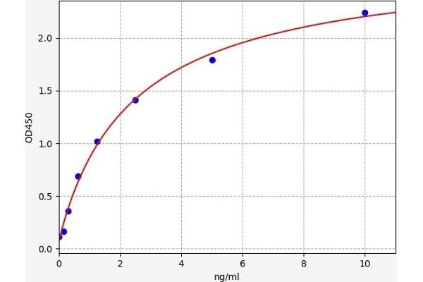 QPCTL ELISA Kit