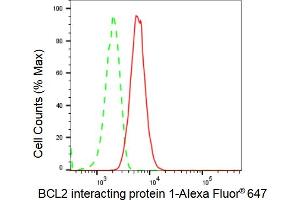 Flow cytometric analysis of BCL2 interacting protein 1 expression in HT- cells using BCL2 interacting protein 1 antibody (ABIN7797757), 1:2,000).