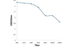 Antigen: 0. (Corin antibody  (AA 165-245))