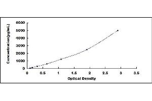 Typical standard curve (SERPINB3 ELISA Kit)