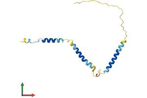AlphaFold protein structure predicition of Human Recombinant EEF1DP3 Protein, UniprotID Q658K8 (EEF1DP3 Protein (AA 1-133) (His tag))