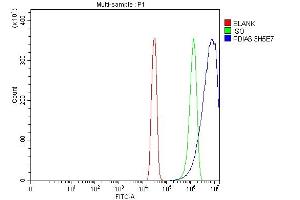 anti-Protein Disulfide Isomerase Family A, Member 6 (PDIA6) (AA 20-440) antibody