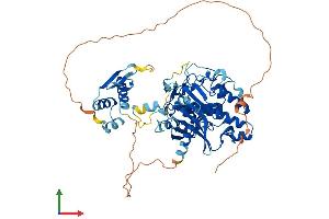 AlphaFold protein structure predicition of Human Recombinant ADAD1 Protein, UniprotID Q96M93