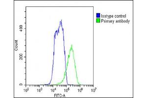Overlay histogram showing HepG2 cells stained with (ABIN6243302 and ABIN6578807)(green line).