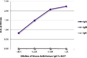 ELISA plate was coated with purified human IgG, IgM, and IgA. (Mouse anti-Human IgG (Fc Region) Antibody (Biotin))