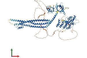 AlphaFold protein structure predicition of Human Recombinant ASAP2 Protein, UniprotID O43150 (ASAP2 Protein (AA 1-1006) (His tag))