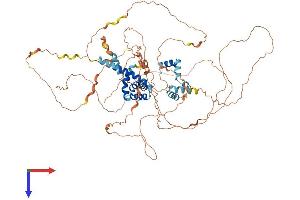 AlphaFold protein structure predicition of Human Recombinant NUTM2G Protein, UniprotID Q5VZR2 (FAM22G Protein (AA 1-741) (His tag))