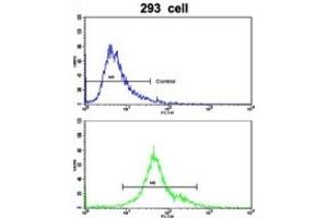 Flow Cytometry (FACS) image for anti-Elastin Microfibril Interfacer 1 (EMILIN1) antibody (ABIN3002724) (Emilin1 antibody)