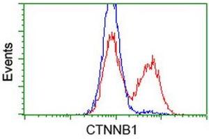HEK293T cells transfected with either RC208947 overexpress plasmid (Red) or empty vector control plasmid (Blue) were immunostained by anti-CTNNB1 antibody (ABIN2454138), and then analyzed by flow cytometry. (CTNNB1 antibody)