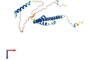 Family with Sequence Similarity 204, Member A (FAM204A) (AA 1-236) protein (His tag)