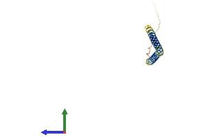 AlphaFold protein structure predicition of Mouse Recombinant Tceal7 Protein, UniprotID A3KGA4 (TCEAL7 Protein (AA 1-98) (His tag))