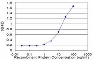 Detection limit for recombinant GST tagged CDK9 is approximately 1ng/ml as a capture antibody. (CDK9 antibody  (AA 271-372))