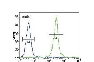 CLDN16 Antibody (N-term) (ABIN654394 and ABIN2844136) flow cytometric analysis of MDA-M cells (right histogram) compared to a negative control cell (left histogram). (Claudin 16 antibody  (N-Term))