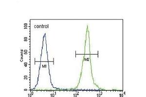 CLDN16 Antibody (N-term) (ABIN654394 and ABIN2844136) flow cytometric analysis of MDA-M cells (right histogram) compared to a negative control cell (left histogram).