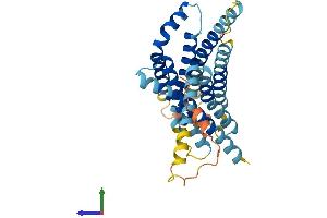 AlphaFold protein structure predicition of Mouse Recombinant Tas2r119 Protein, UniprotID Q9JKT2 (TAS2R119 Protein (AA 1-335) (His tag))