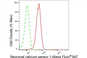 Flow cytometric analysis of Neuronal calcium sensor 1 expression in HepG2 cells using Neuronal calcium sensor 1 antibody (ABIN7799584), 1:2,000).