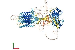 Protein Structure (PS) image for Adenylate Cyclase 8 (Brain) (ADCY8) (AA 1-1251) protein (His tag) (ABIN7552028)