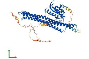 Protein Structure (PS) image for Sorting Nexin Family Member 30 (SNX30) (AA 1-437) protein (His tag) (ABIN7559278)