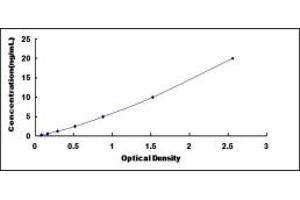 IRF4 ELISA Kit