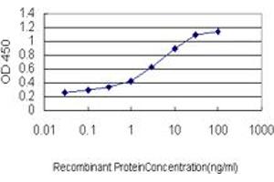 Detection limit for recombinant GST tagged AHCYL1 is approximately 0. (AHCYL1 antibody  (AA 1-101))