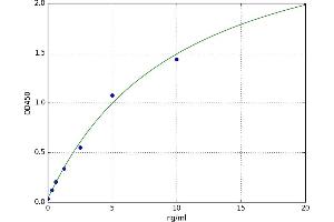 A typical standard curve