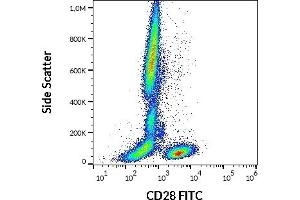 Flow cytometry surface staining pattern of human peripheral whole blood stained using anti-human CD28 (CD28.