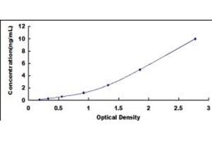 Sestrin 2 ELISA Kit