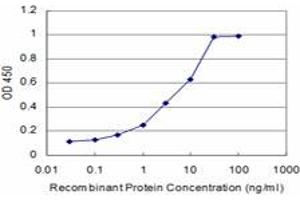 Detection limit for recombinant GST tagged RBM9 is approximately 0. (RBM9 antibody  (AA 1-100))