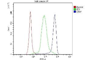 Flow Cytometry analysis of human PBMC cells using anti-CD47 antibody (ABIN6719291). (CD47 antibody  (AA 19-323))