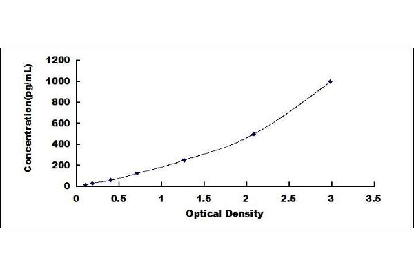 ECF ELISA Kit