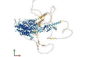 AlphaFold protein structure predicition of Mouse Recombinant Clcn1 Protein, UniprotID Q64347