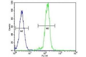 AKT2 antibody flow cytometric analysis of HeLa cells (right histogram) compared to a negative control (left histogram).