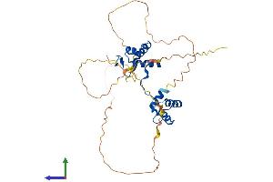 AlphaFold protein structure predicition of Mouse Recombinant Pax9 Protein, UniprotID P47242 (PAX9 Protein (AA 1-342) (His tag))