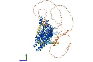 AlphaFold protein structure predicition of Human Recombinant FBXL5 Protein, UniprotID Q9UKA1 (FBXL5 Protein (AA 1-691) (His tag))