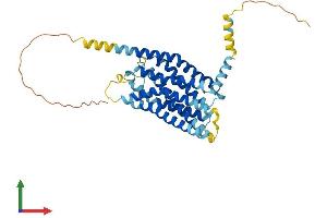 AlphaFold protein structure predicition of Human Recombinant GPER1 Protein, UniprotID Q99527 (Mesothelin Protein (MSLN) (AA 1-375) (His tag))