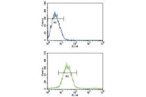 Flow cytometric analysis of CEM cells using CD19 antibody (bottom histogram) compared to a negative control cell (top histogram).